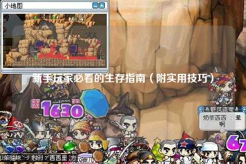 新手玩家必看的生存指南（附实用技巧）