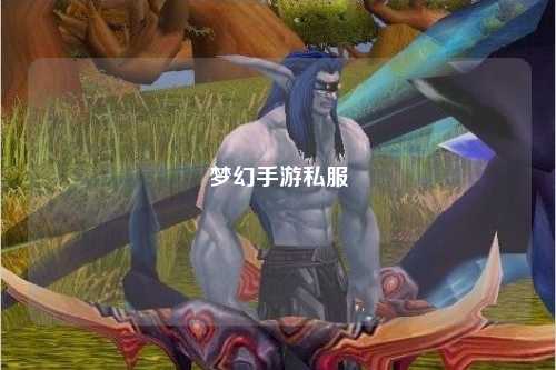 梦幻手游私服