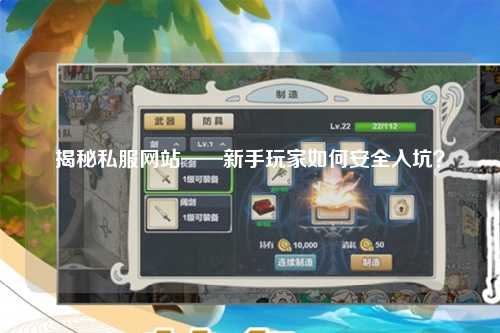揭秘私服网站——新手玩家如何安全入坑？